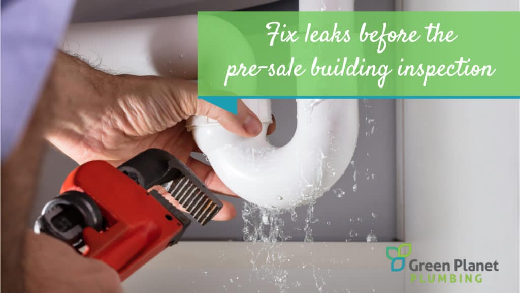 Preparing Your Home’s Plumbing for a Pre-Sale Building Inspection - Plumbing