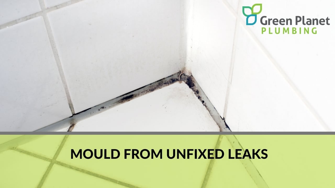 Mould from unfixed leaks