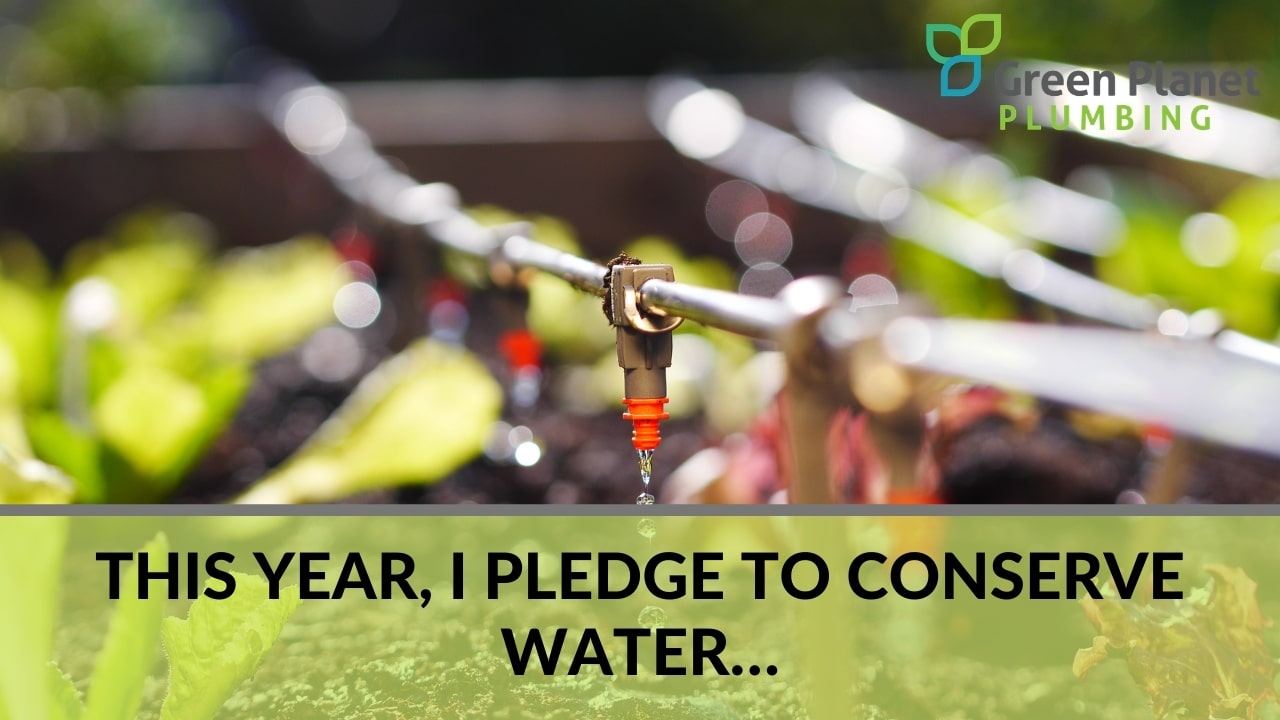 This Year, I Pledge to Conserve Water…