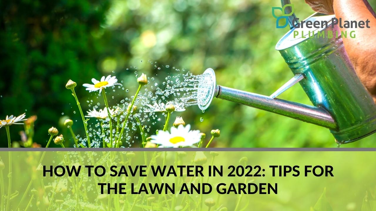 How to Save Water in 2022 Tips for the Lawn and Garden