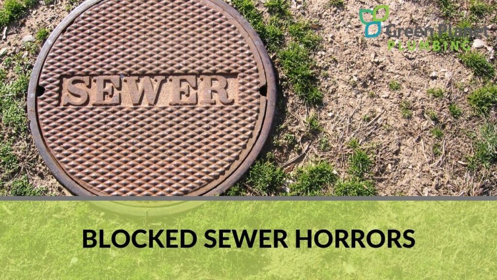 Blocked Sewer Horrors