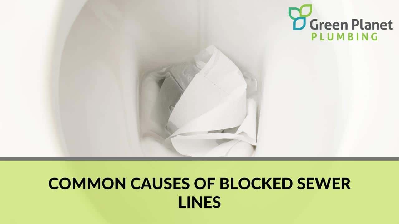 Common causes of blocked sewer lines
