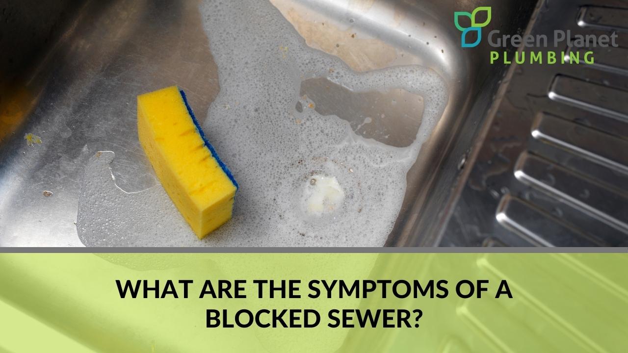 What are the symptoms of a blocked sewer?