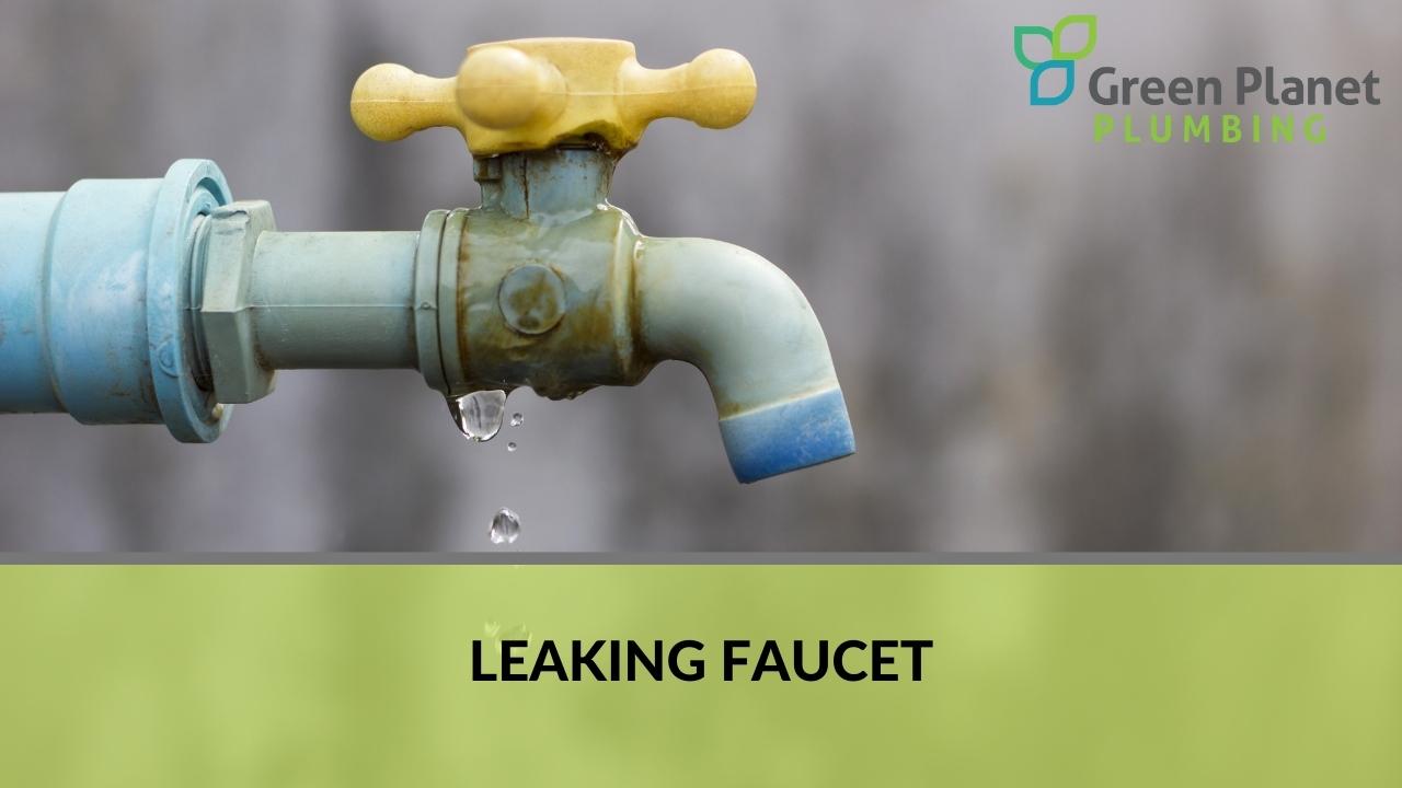 Leaking Faucet